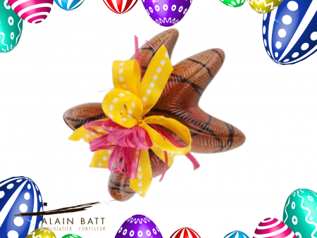 Etoile de mer garnie - ref_1345N - Etoile de mer chocolat noir garnie