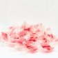 Les Bonbons de Lorraine Coquelicot - ref_1446 - Sachet de 150g