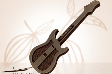 Guitare Electrique