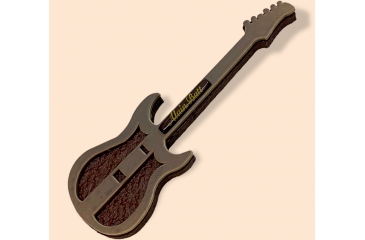 Guitare Electrique