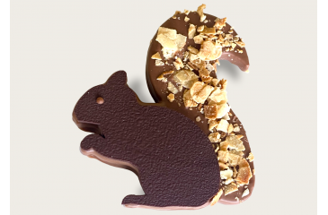 Ecureuil praliné